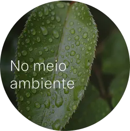 No meio ambiente